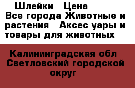 Шлейки › Цена ­ 800 - Все города Животные и растения » Аксесcуары и товары для животных   . Калининградская обл.,Светловский городской округ 